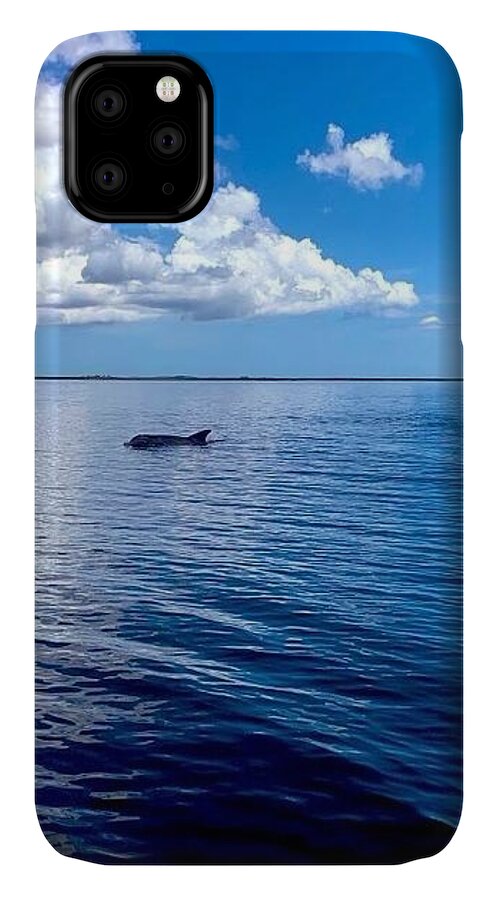 Tranquil Waters with Dolphin - Phone Case