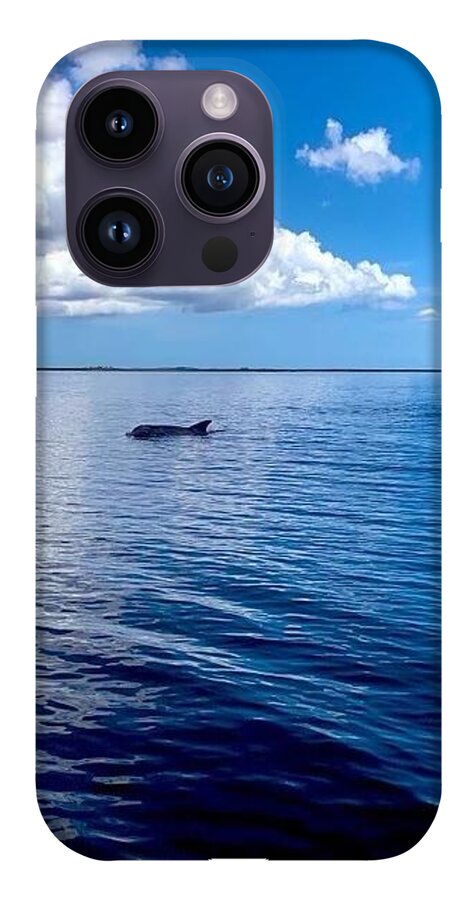 Tranquil Waters with Dolphin - Phone Case