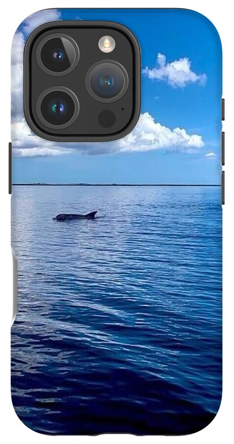 Tranquil Waters with Dolphin - Phone Case