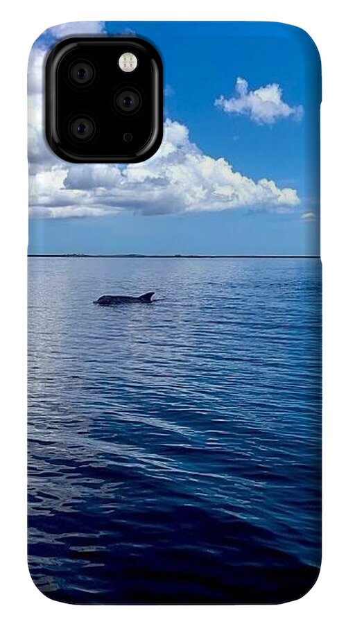 Tranquil Waters with Dolphin - Phone Case