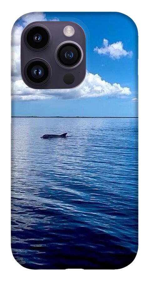 Tranquil Waters with Dolphin - Phone Case