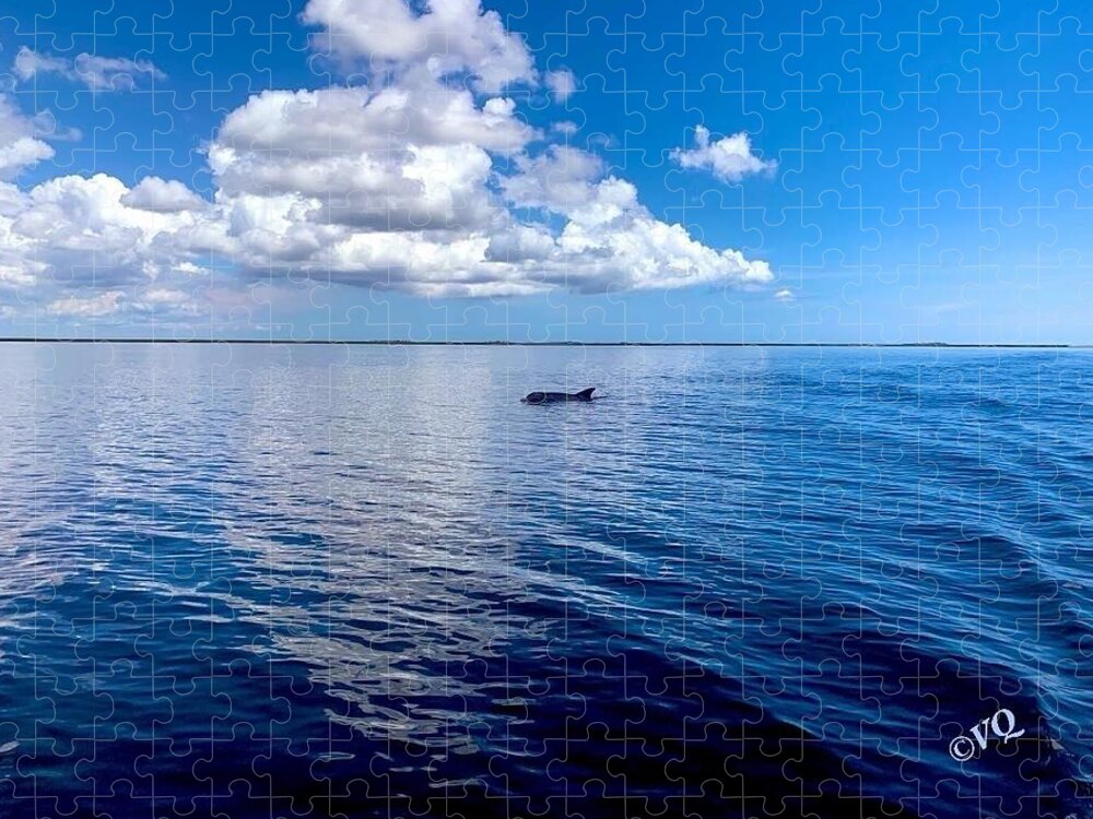 Tranquil Waters with Dolphin - Puzzle