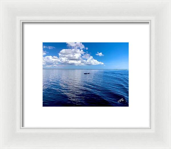 Tranquil Waters with Dolphin - Framed Print
