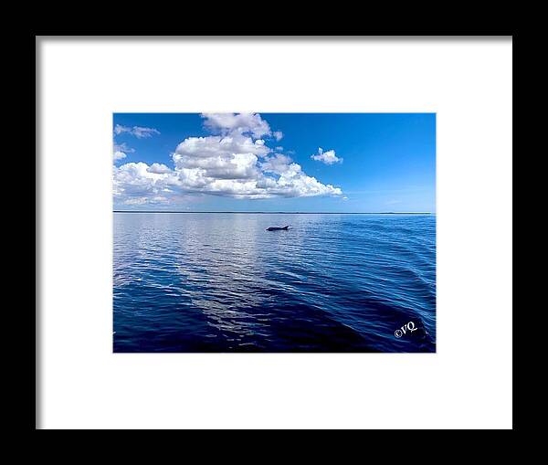 Tranquil Waters with Dolphin - Framed Print