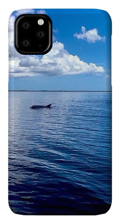Tranquil Waters with Dolphin - Phone Case