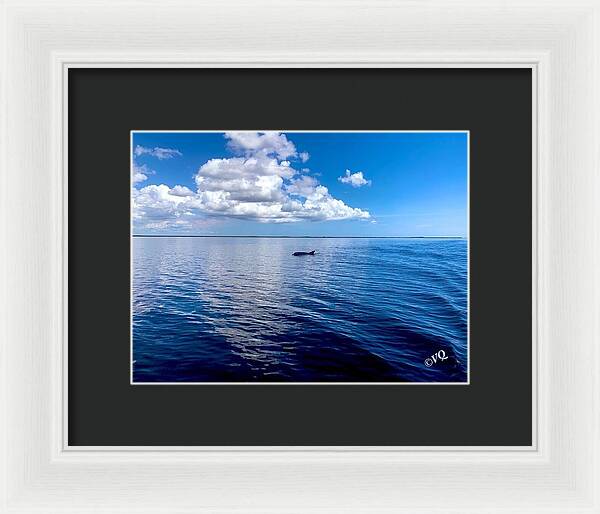 Tranquil Waters with Dolphin - Framed Print