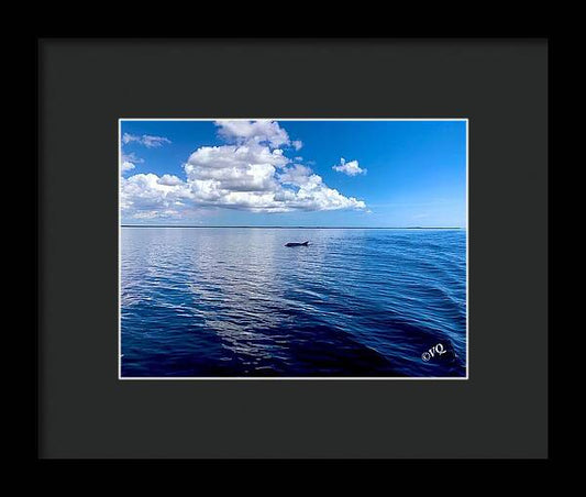 Tranquil Waters with Dolphin - Framed Print