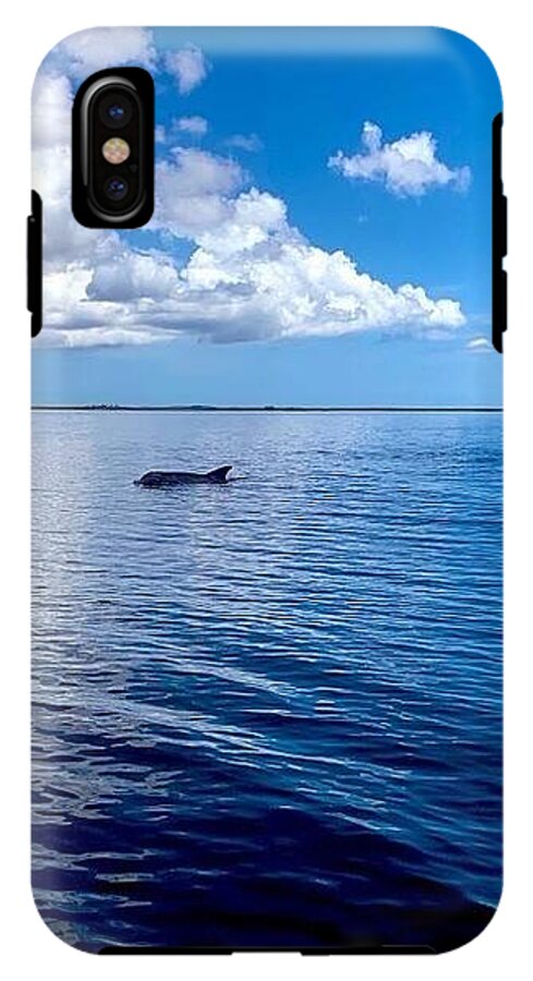 Tranquil Waters with Dolphin - Phone Case