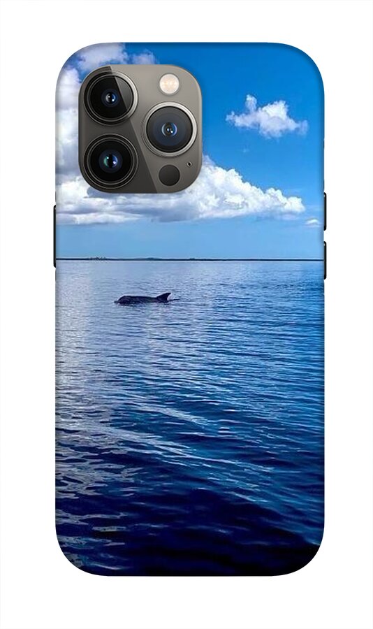 Tranquil Waters with Dolphin - Phone Case