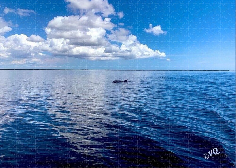 Tranquil Waters with Dolphin - Puzzle
